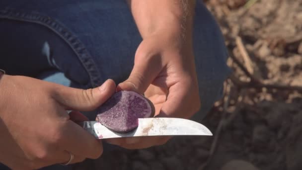 Cięcie Owoców Ziemniaka Nożem Człowiek Trzymając Owoc Ziemniaczany Dłoniach Tnie — Wideo stockowe