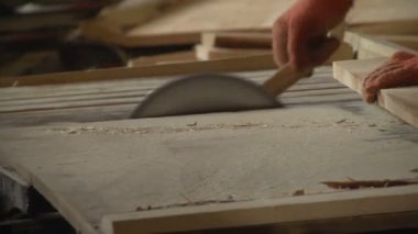 Tahta üretim fabrikasında testere makinesi. Kereste fabrikasında kereste işleme ve kesme. Kereste fabrikasında üretim süreci. Otomatik Dairesel Testere Makinesi