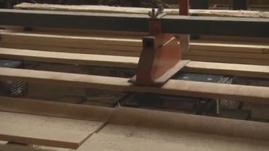 Tahta üretim fabrikasında testere makinesi. Kereste fabrikasında kereste işleme ve kesme. Kereste fabrikasında üretim süreci. Otomatik Dairesel Testere Makinesi