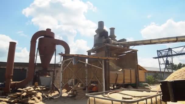 Řezací Stroj Dřevozpracujícím Závodě Zpracování Řezání Dřevařského Materiálu Pile Výrobní — Stock video