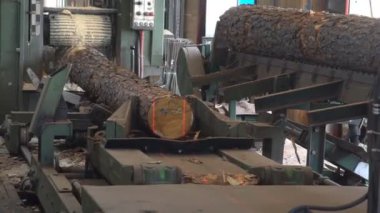 Tahta üretim fabrikasında testere makinesi. Kereste fabrikasında kereste işleme ve kesme. Kereste fabrikasında üretim süreci. Otomatik Dairesel Testere Makinesi