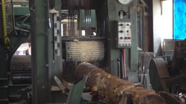 Tahta üretim fabrikasında testere makinesi. Kereste fabrikasında kereste işleme ve kesme. Kereste fabrikasında üretim süreci. Otomatik Dairesel Testere Makinesi