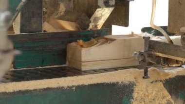 Tahta üretim fabrikasında testere makinesi. Kereste fabrikasında kereste işleme ve kesme. Kereste fabrikasında üretim süreci. Otomatik Dairesel Testere Makinesi