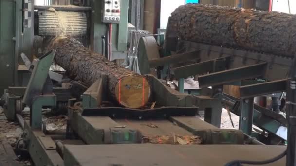 Sägemaschine Der Holzproduktion Fabrik Holzmaterialbearbeitung Und Zuschnitt Sägewerk Produktionsprozess Der — Stockvideo