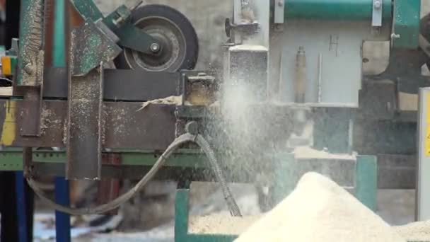 Sägemaschine Der Holzproduktion Fabrik Holzmaterialbearbeitung Und Zuschnitt Sägewerk Produktionsprozess Der — Stockvideo