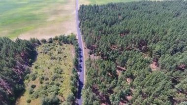 Yeşil orman şeridinden geçen hareket halindeki bir arabayla yol üzerinde uçan hava manzarası. Yukarıdan drone atışı