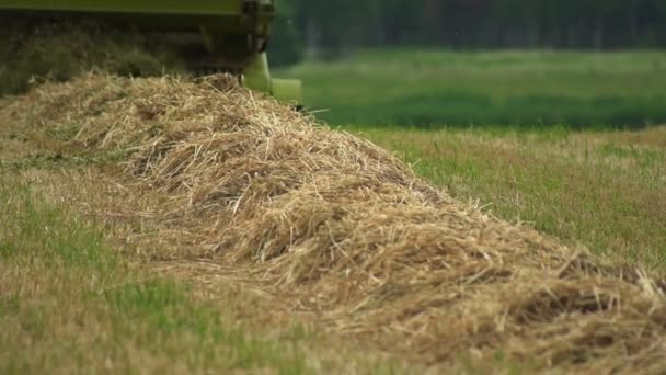Antenn Ovanifrån Industriell Självgående Gräsklippare Skära Saftigt Grönt Gräs För — Stockvideo