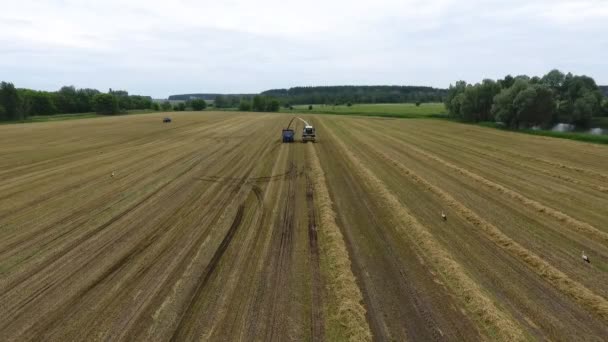 Luchtfoto Bovenaanzicht Van Een Industriële Maaier Met Eigen Aandrijving Die — Stockvideo