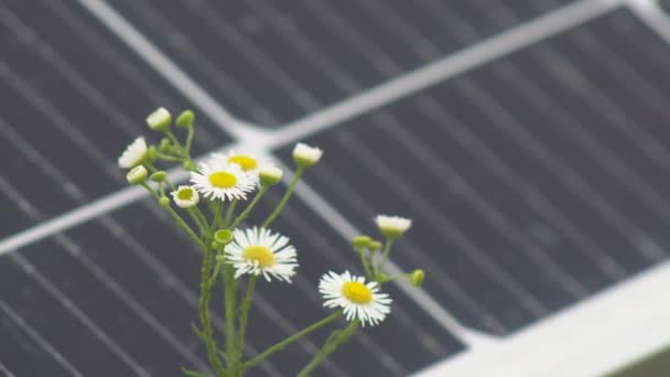 Uma Estação Painéis Solares Instalada Campo Para Coletar Energia Solar — Vídeo de Stock