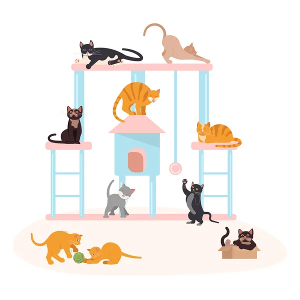 Şirin yavru kedi oyun — Stok Vektör