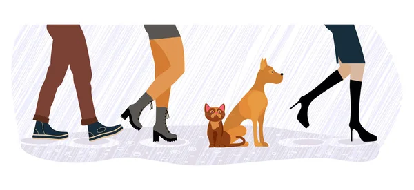 Sem-teto gato e cão entre homens e mulheres pés — Vetor de Stock