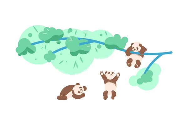 Şirin bebek panda ormanda tırmanma ve oynayan ayılar — Stok Vektör