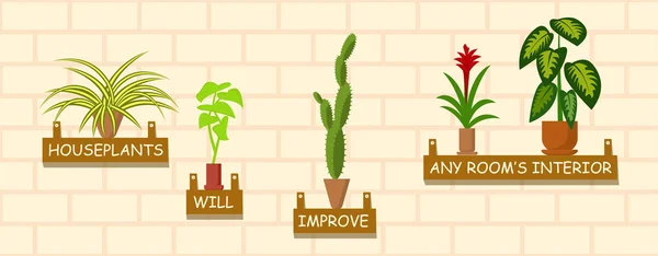 Horizontal Banner template with houseplants on a wall — Free Stock Photo