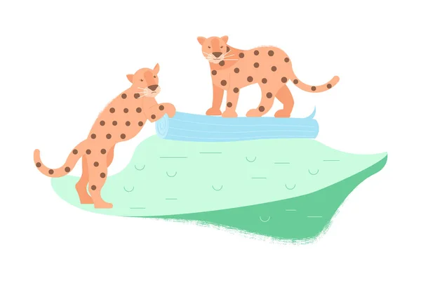 Två söta leoparder — Stock vektor