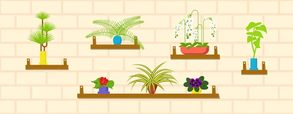 带室内植物的水平横幅模板 — 图库矢量图片