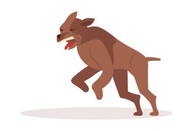 Agresif tehlikeli köpek saldırısı