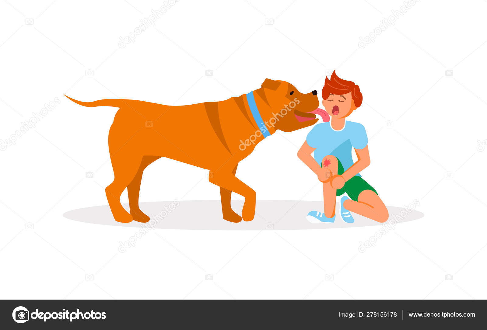 Can You Get Rabies From A Dog Lick