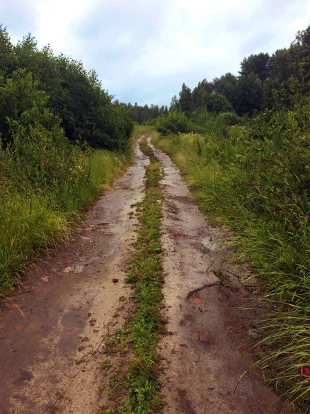 Kötü ülke kir yol