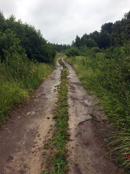 Kötü ülke kir yol