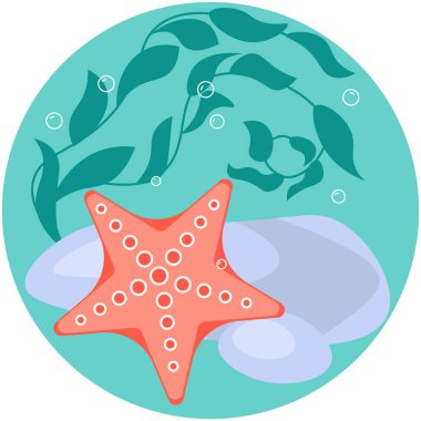 Instagram Hikayesi Vurgulaması