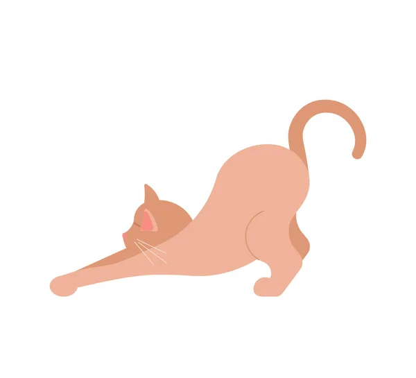 Grappige bruine kat — Stockvector