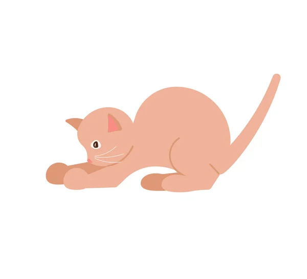 Gracioso gato marrón — Vector de stock