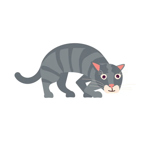 Gato gris divertido — Vector de stock