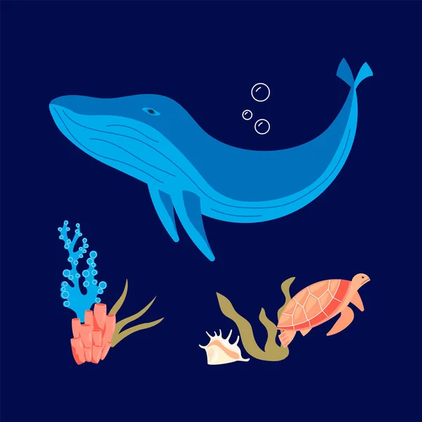 Barriera corallina e balena azzurra — Vettoriale Stock