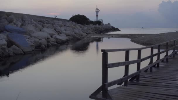 Ahşap Köprü Nehrin Yanında Deniz Sokak Köpeğiyle Yürürken Bir Genç — Stok video