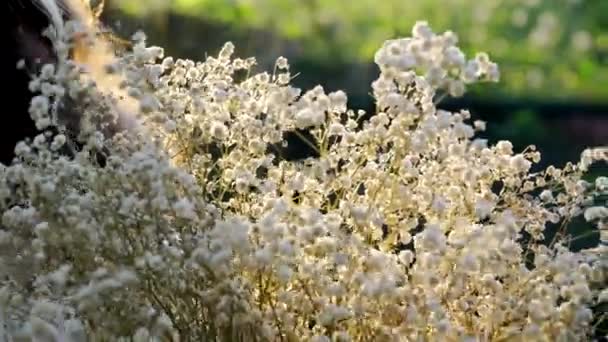 Bride Holding Bouquet — Stock Video