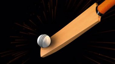 Kriket Topu Alfa Matte ile Yarasaya Vuruyor