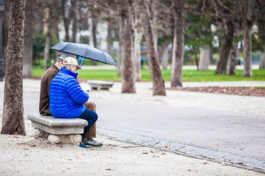 Madrid, İspanya - Mart 2018: Kıdemli bir şehirde bir bankta kaç 