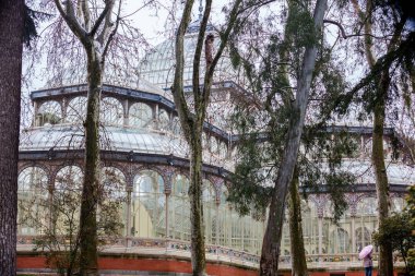 Bir yağmurlu kış da'da Madrid'de Retiro parkının Crystal Palace