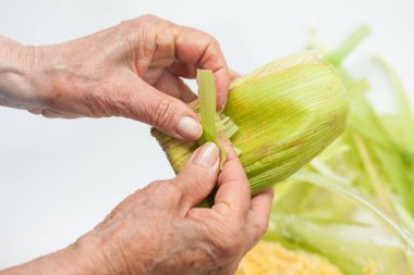 Kolombiya Mısır şal hazırlık