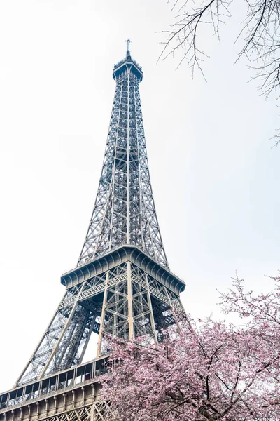 Famoso Tour Eiffel Final Del Invierno — Foto de Stock