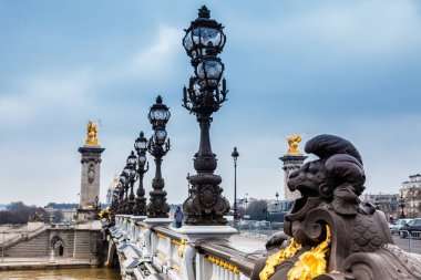 Soğuk bir kış günü Paris Pont Alexandre III