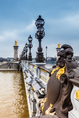 Soğuk bir kış günü Paris Pont Alexandre III