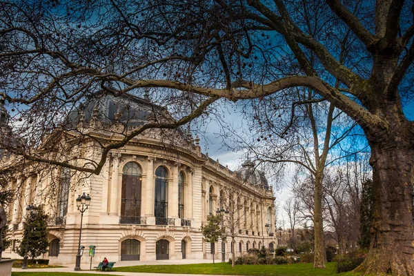 Paris France March 2018 Petit Palais Cloudy Winter Day Just — Stock Photo, Image