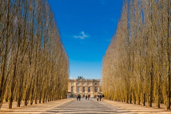 París Francia Marzo 2018 Jardín Del Palacio Versalles Frío Día — Foto de Stock