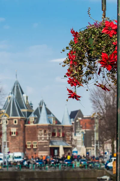 春天的第一天 美丽的红花点缀在阿姆斯特丹老城区的桥上 — 图库照片