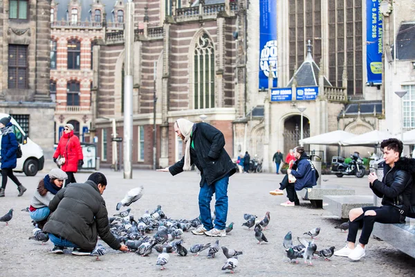 Amsterdam Netherlands March 2018 People Feeding Pigeons Dam Square Old — Stock Photo, Image