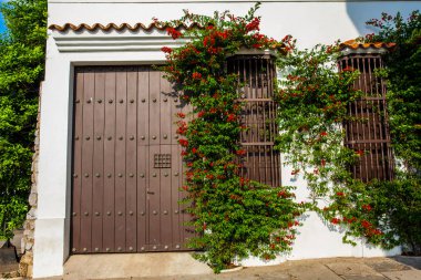 Cartagena de Indias duvarlı şehir güzel colonial evlerde