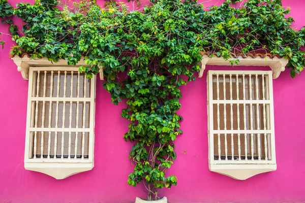 Färgglada Koloniala Hus Den Muromgärdade Staden Cartagena Indias — Stockfoto