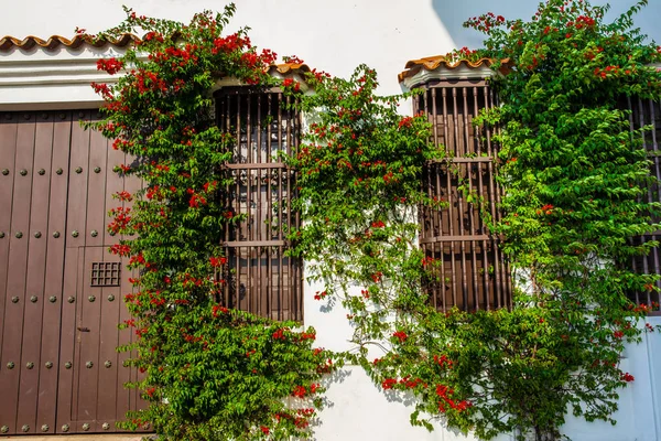 Las Hermosas Casas Coloniales Ciudad Amurallada Cartagena Indias —  Fotos de Stock