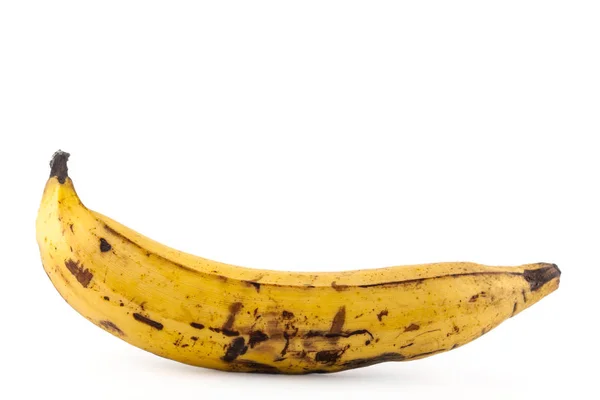 Zralý Banán Musa Paradisiaca Izolované Bílém Pozadí — Stock fotografie