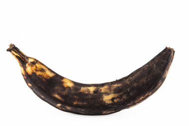 Very ripe plantain or Green Banana isolated in white background. Musa x paradisiaca