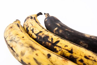 Plantain or Green Banana in different stages of maduration isolated in white background. Musa x paradisiaca