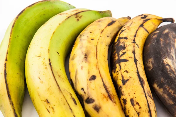 Banana Verde Banana Verde Musa Paradisiaca Diverse Fasi Madurazione Isolata — Foto Stock