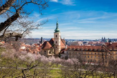 Petrin bahçeleri bahar başında görülen Prag şehir