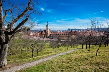 Petrin bahçeleri bahar başında görülen Prag şehir